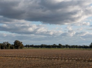 winery-winter